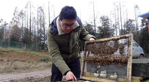 扎根小山村 做勤劳“小蜜蜂”—多赢蜜蜂养殖专业合作社理事长周承伟